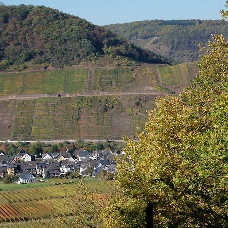 Ferienhaus Mosel Bub Bruttig-Fankel Buitenkant foto
